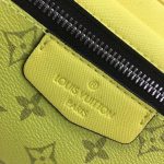 Louis Vuitton Outdoor Bumbag Yellow - Image 6