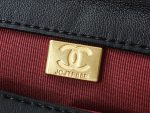 Chanel Large Bag With Handle CN003 - Image 9