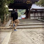 Jacket Supreme NYC Coach Windbreaker SP062 - Image 17