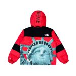 Jacket Supreme x The North Face Statue of Liberty TNF005