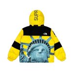 Jacket Supreme x The North Face Statue of Liberty TNF005 - Image 2