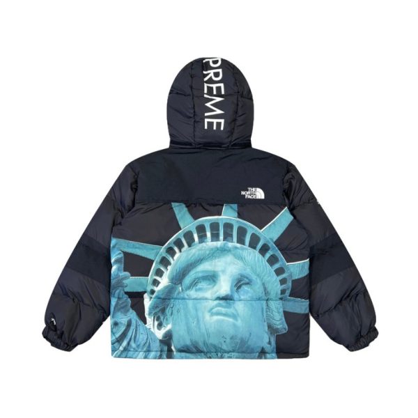 Jacket Supreme x The North Face Statue of Liberty TNF005 - Image 3
