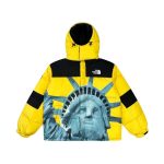 Jacket Supreme x The North Face Statue of Liberty TNF005 - Image 6