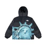 Jacket Supreme x The North Face Statue of Liberty TNF005 - Image 7