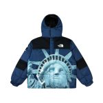 Jacket Supreme x The North Face Statue of Liberty TNF005 - Image 8