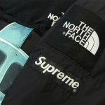 Jacket Supreme x The North Face Statue of Liberty TNF005 - Image 13