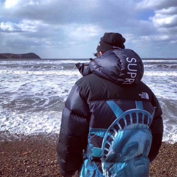 Jacket Supreme x The North Face Statue of Liberty TNF005 - Image 19