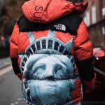 Jacket Supreme x The North Face Statue of Liberty TNF005 - Image 20