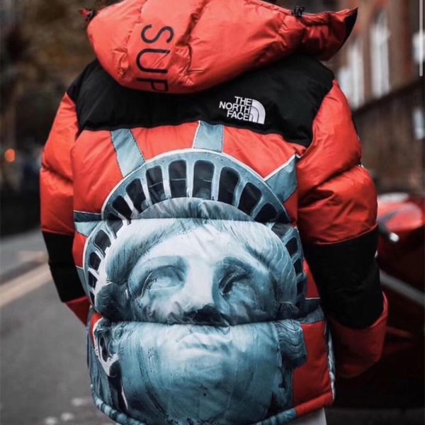 Jacket Supreme x The North Face Statue of Liberty TNF005 - Image 20