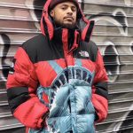 Jacket Supreme x The North Face Statue of Liberty TNF005 - Image 21