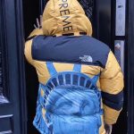 Jacket Supreme x The North Face Statue of Liberty TNF005 - Image 22