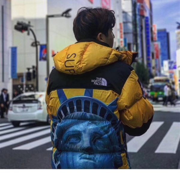 Jacket Supreme x The North Face Statue of Liberty TNF005 - Image 23