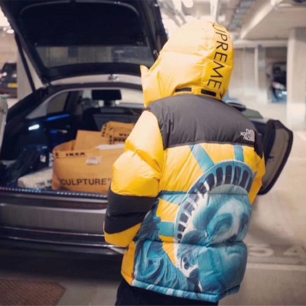 Jacket Supreme x The North Face Statue of Liberty TNF005 - Image 25
