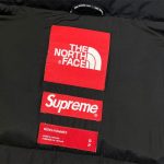 Jacket Supreme x The North Face Statue of Liberty TNF005 - Image 26