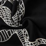 Tracksuit Philipp Plein Snake Embroidered Design PP006 - Image 3