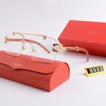 Sunglasses Cartier Rimless CTR001 - Image 4