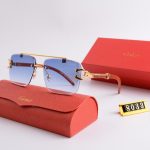 Sunglasses Cartier Rimless CTR001 - Image 6
