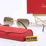 Sunglasses Cartier Gold Rimless Gradient CTR002 - Image 4