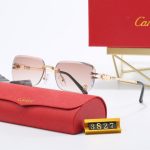 Sunglasses Cartier Gold Rimless Gradient CTR002 - Image 5