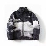 Jacket The North Face TNF010