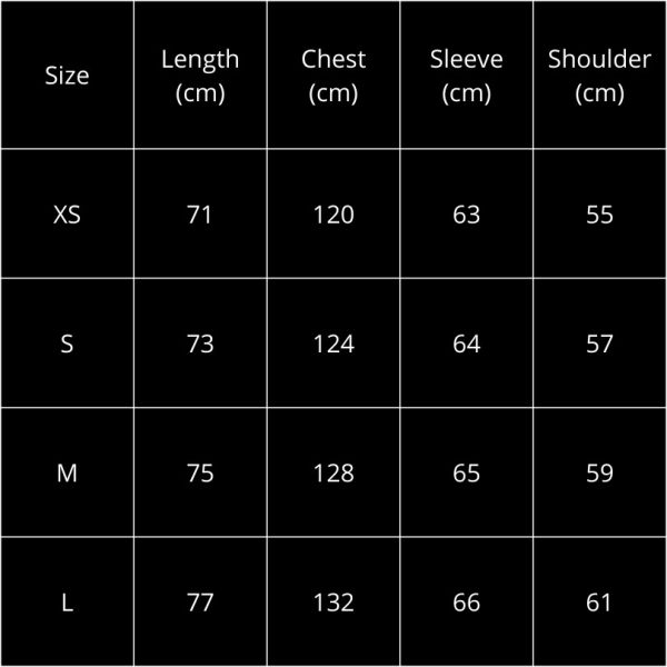 Hoodie Balenciaga BL098 - Image 3