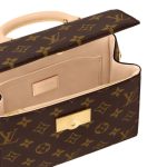 Handbag Louis Vuitton Cluny Mini Monogram LVW013 - Image 2