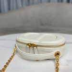 Shoulder Bag Dior Signature Camera Bag Off White DOW010 - Image 3