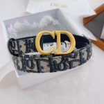 Belt Dior DOW012