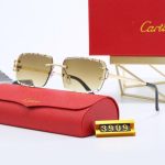 Sunglasses Cartier CTR007 - Image 4
