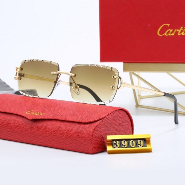 Sunglasses Cartier CTR007 - Image 4