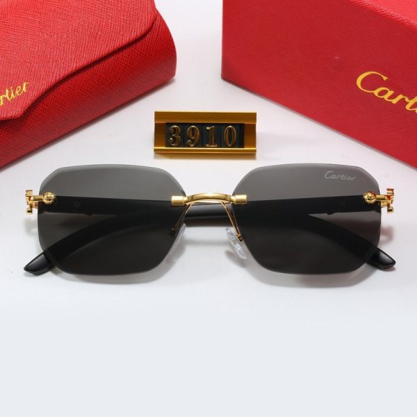 Sunglasses Cartier CTR008 - Image 6