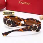 Sunglasses Cartier CTR009 - Image 8
