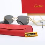 Sunglasses Cartier CTR011