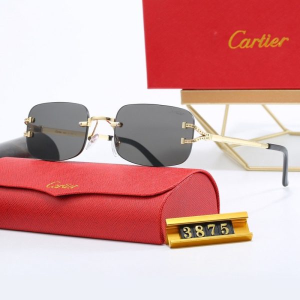 d139640_17228-1.jpg Sunglasses Cartier CTR011 - Image 1