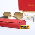 Sunglasses Cartier CTR011 - Image 2