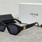 Sunglasses Celine CE004