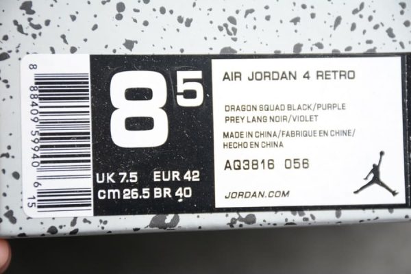 Air Jordan 4 Raptors - Image 11