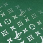 Hoodie Louis Vuitton LV Green Monogram Gradient - Image 4